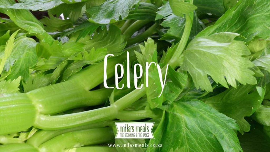 Celery