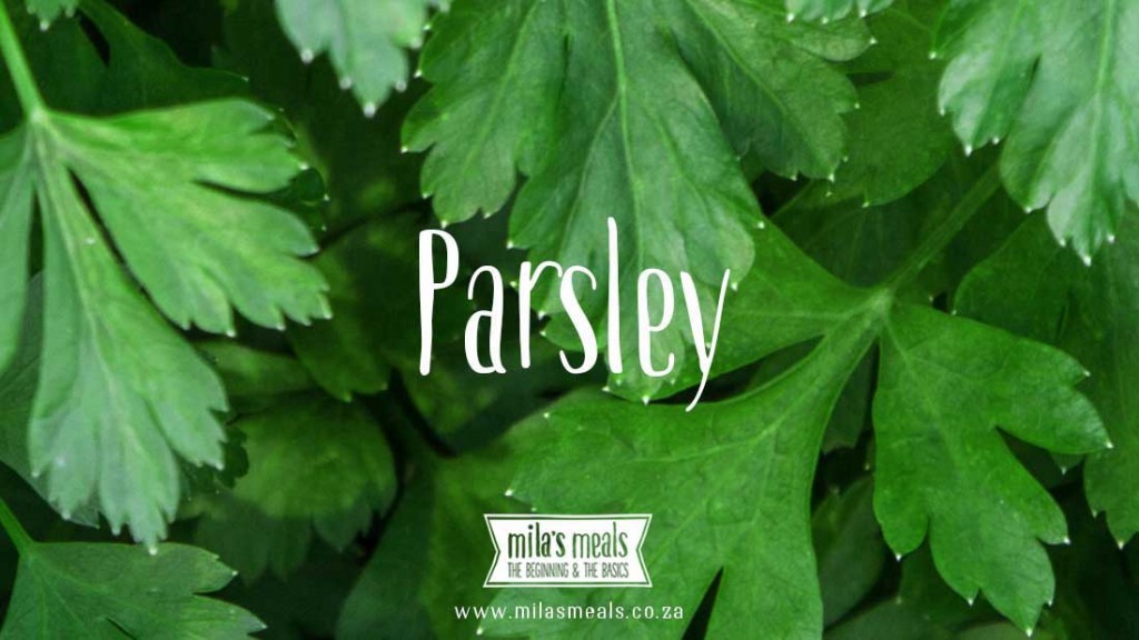 Parsley