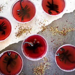 Mila's Meals Scorpion Jelly
